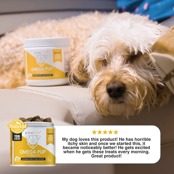 A 1:1 testimonial ad featuring a dog resting next to an Omega Pup product jar, highlighting customer satisfaction with skin and coat health.